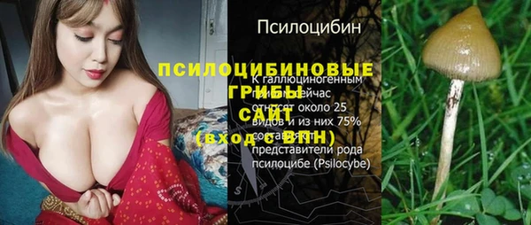 синтетический гашиш Осинники