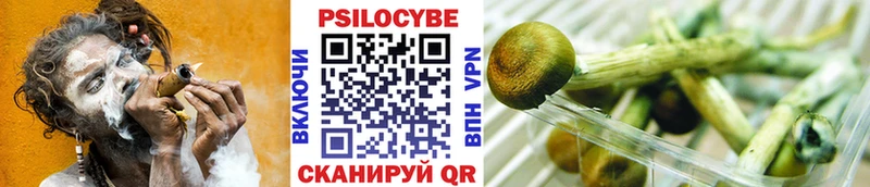 Псилоцибиновые грибы мухоморы  купить   Лиски 